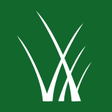 Ny symbol för gräs och löv som föreställer korsade grässtrån på grön botten