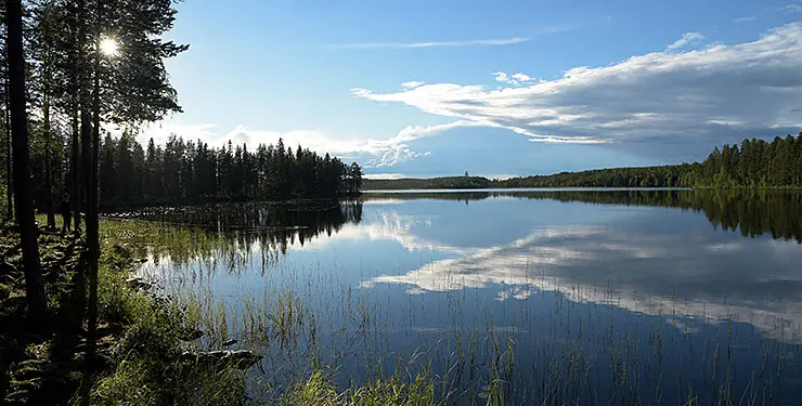 En sjö omgiven av skog och en klarblå sommarhimmel